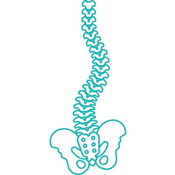 Spinal Deformity (Scoliosis & Kyphosis)