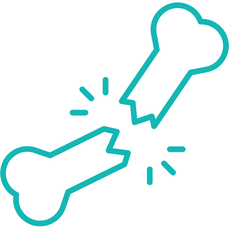 Spine Fracture Treatment